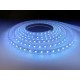 Tiras LED 220v Smd5050 60 Led/m RGB Multicolor Con Transformado,Control por Mando de Distancia y APP