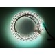 Tiras LED 5050 RGB 12MM DE ANCHURA 12W POR METRO 